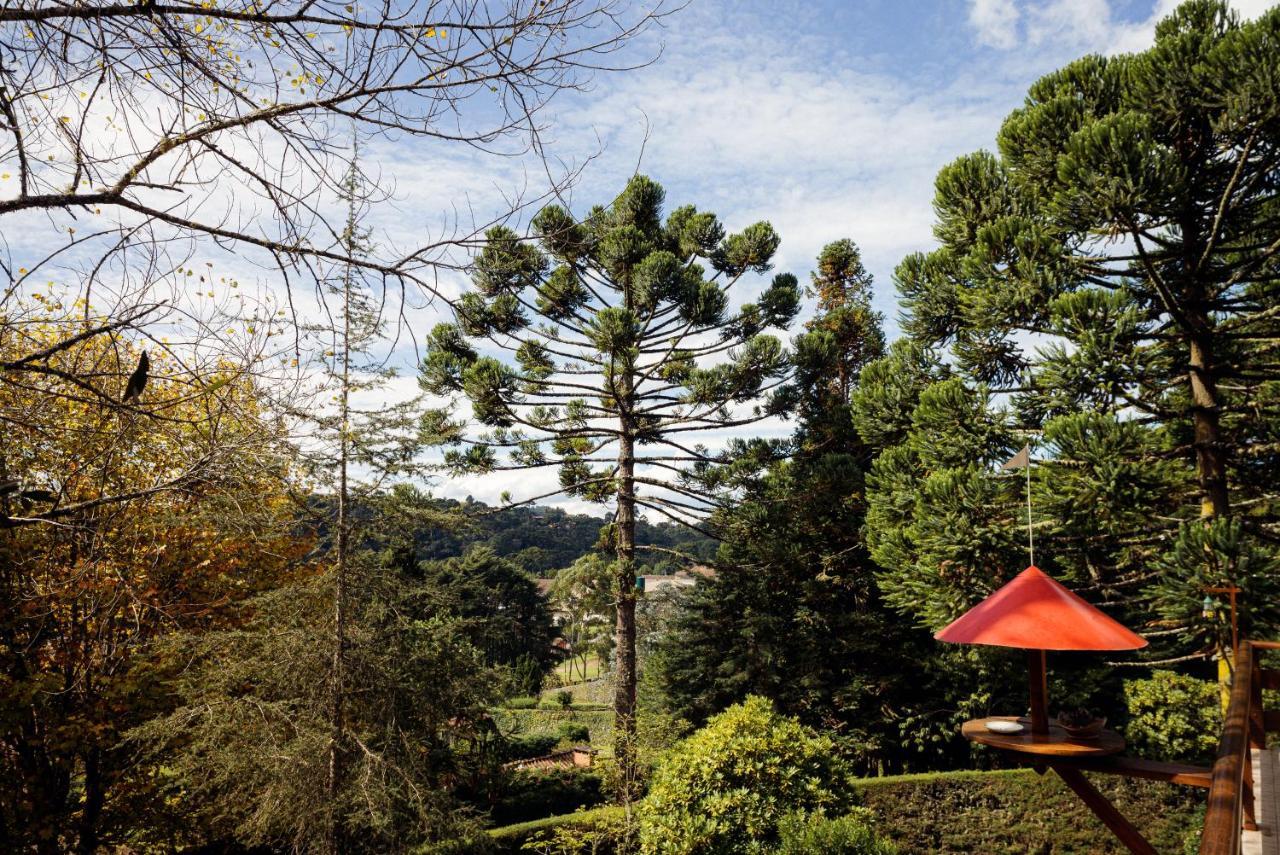 Cabana Mimosa Monte Verde  Dış mekan fotoğraf