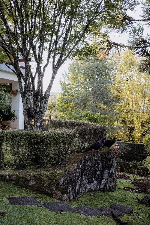 Cabana Mimosa Monte Verde  Dış mekan fotoğraf