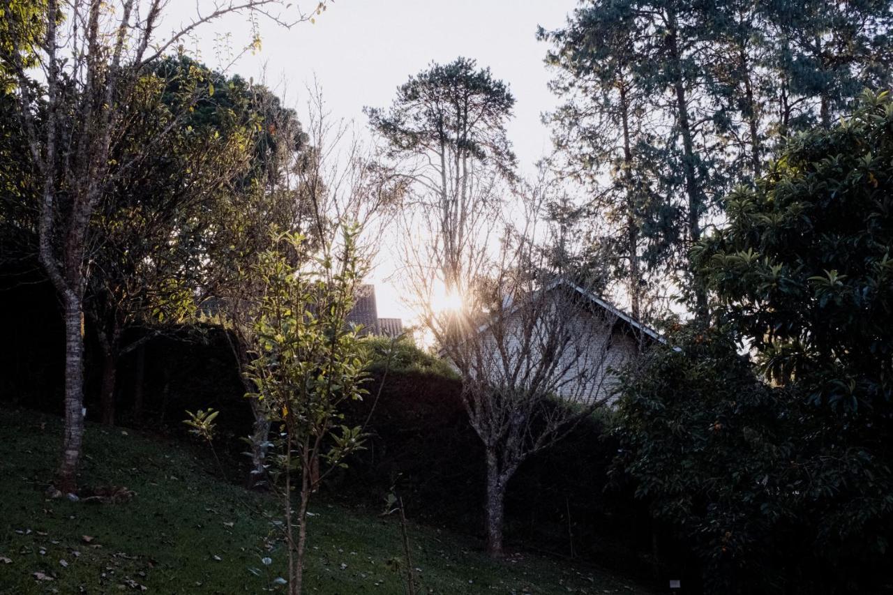 Cabana Mimosa Monte Verde  Dış mekan fotoğraf